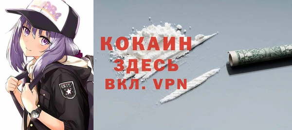 дмт Арсеньев