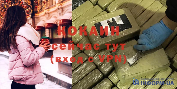 дмт Арсеньев