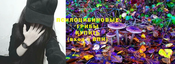 твердый Армянск