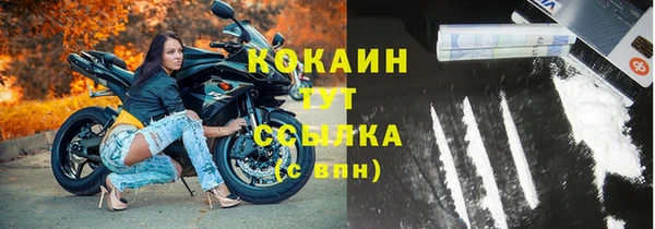 дмт Арсеньев