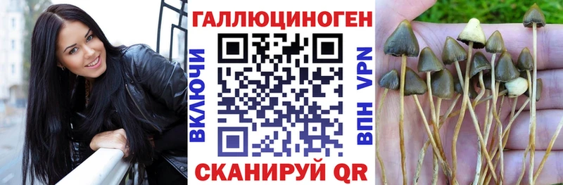 Псилоцибиновые грибы GOLDEN TEACHER купить наркотики цена Верея